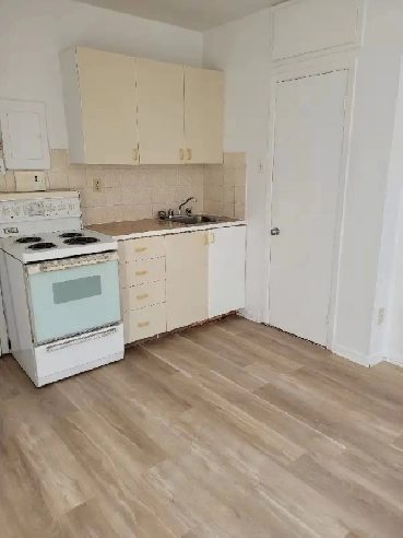 Studio, 1-1/2, métro Pie-IX Image# 1