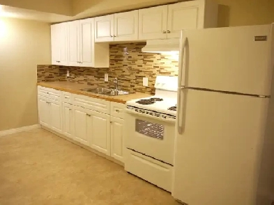 RENOD 2BR Bsmt near LRT-Newer kitchen,hardwood,bathroom,lots of Image# 1