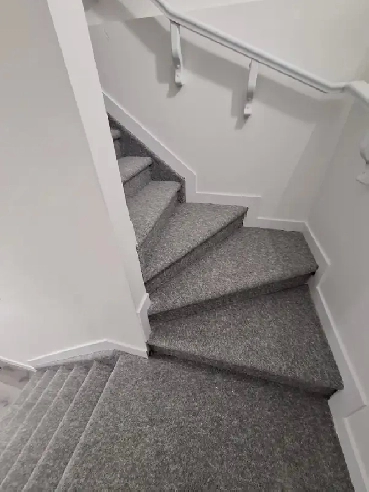 New 1 Bedroom basement suite in Rutherford, Edmonton. Image# 1