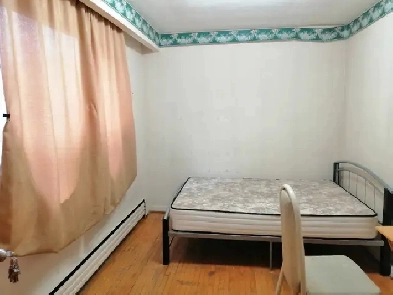 $850-Cozy Room for Rent in Queen West Area Image# 1