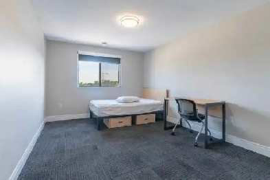 Room Available for Rent – Wonderland North, London Image# 1