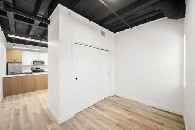 BRAND NEW 1 BEDROOM Apartments in West Broadway for Rent! Image# 1