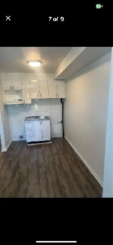 31/3 fully renovated Montreal Image# 1