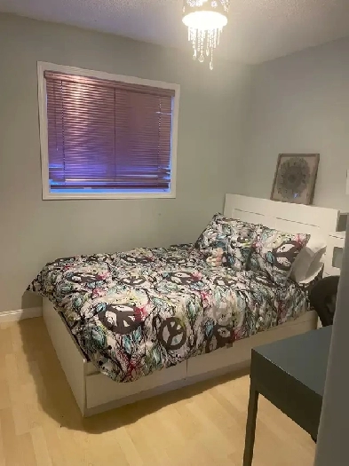 Room to Rent Image# 1