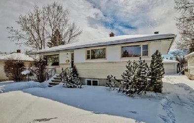 A Whole Independent New Renovated house for Rent Thorncliffe NW Image# 1