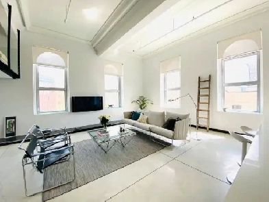 Beautiful Exchange Loft for Rent Image# 1