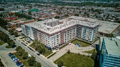 Condo à louer Image# 1