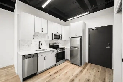 BRAND NEW LUXURIOUS 1 BEDROOM Apartments in West Broadway! Image# 1