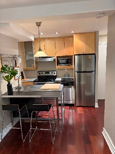 STYLISH AND COZY JUNIOR ONE BEDROOM- 425 SQFT , ANNEX - HURON ST Image# 1