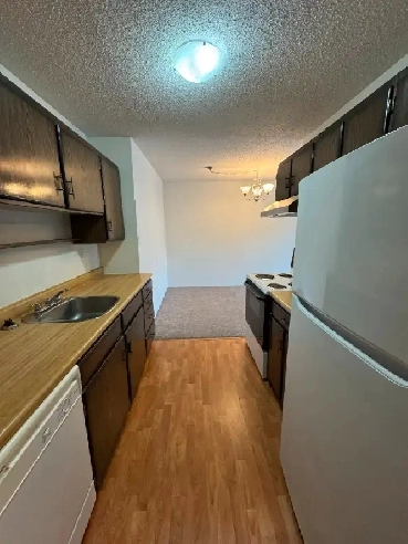 2 BEDROOM - HEAT AND WATER INCLUDED - PET FRIENDLY Image# 1