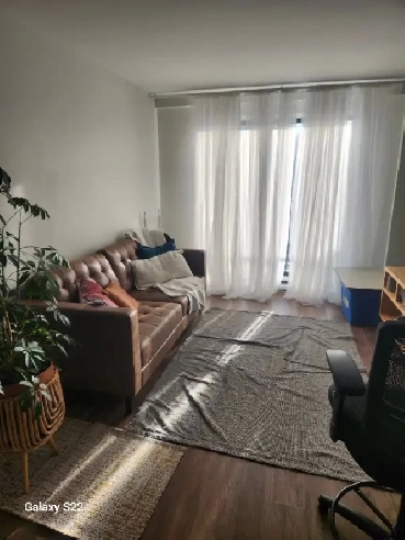 Apparemment à louer Image# 1