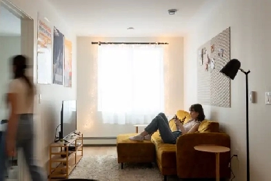 Fully Furnished 3 Bedroom Student Apartment Next to MUN Campus Image# 1