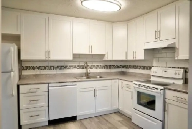 Minutes to Century Park LRT - NEWLY Renovated 2 Bedroom Apt Image# 1
