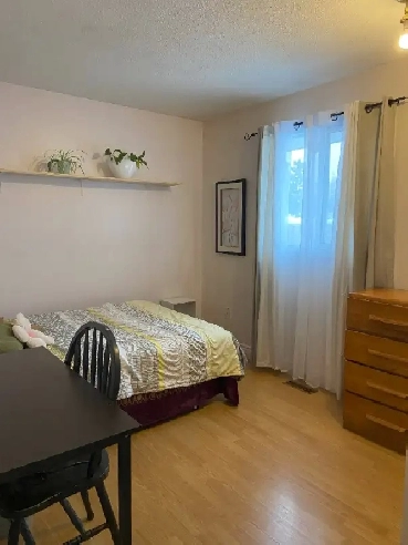 Private room for Rent Image# 1