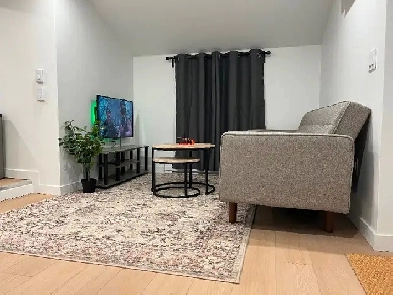 Fully Furnished 1 bedroom apartment for rent Image# 1