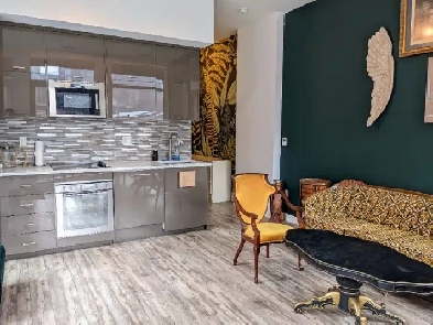 Furnished Downtown Rooms, Apartments and Condos Image# 1