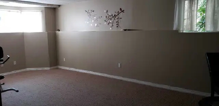 2 bedroom basement available for rent in Edmonton,AB - Room Rentals & Roommates