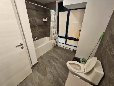 3 1/2 Apartment Lease Transfer Downtown Montreal