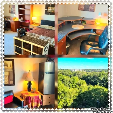 Western Windermere SHARED Inclusive Furnished Aptmt Image# 1