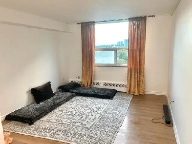 Clean Spacious Studio Apartment, Starting March 01st, 2025 Image# 1