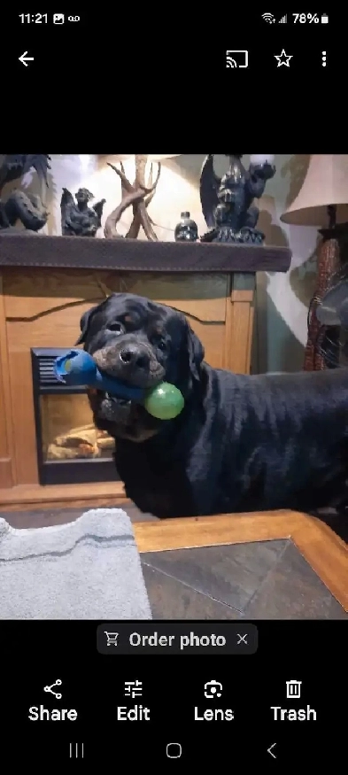 apartment wanted Image# 1