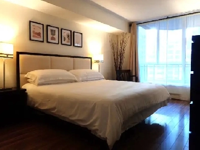 One-bedroom furnished condo for rent in downtown Toronto Image# 1