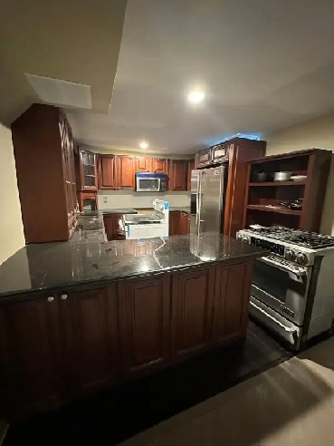 BEAUTIFUL ONE BEDROOM BASEMENT - VAUGHAN Image# 1