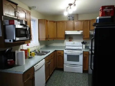 FANSHAWE COLLEGE STUDENTS Image# 1