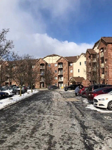 Condo for Rent Image# 1