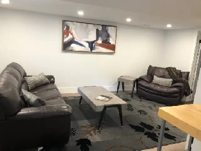 Kitchener Rental Furnished Monthly One Bedroom Apartment Wifi