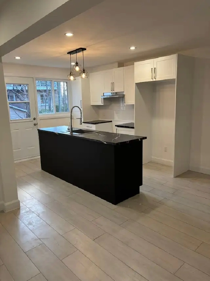 Espacieux 51/2 mercier à louer in City of Montréal,QC - Apartments & Condos for Rent