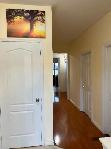 Room For Rent York University Village $730 Move in March 1st$73