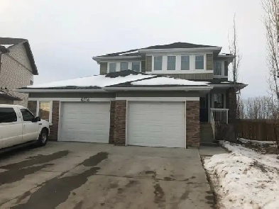 Room for Rent Image# 1