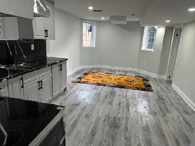 BASEMENT FOR RENT IN GEORGETOWN Image# 1