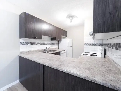 Spacious Renovated 2 Bedroom Apt - Minutes to Century Park LRT Image# 1