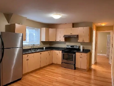 1 Bedroom Basement Suite Image# 1