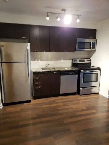 Renovated Liberty Village 1 BDR Condo   Locker FOR RENT Image# 1