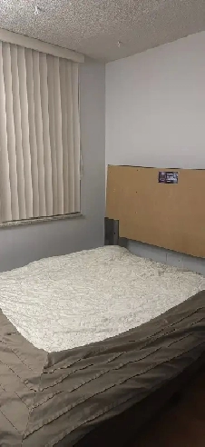 Shared room in Downtown Toronto Image# 1