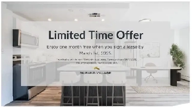 Upgraded One Bedroom Apartment for Rent - 93  Bold Street Image# 1