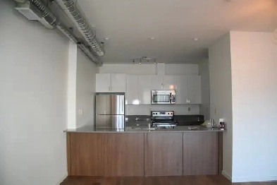 LARGE LOFT STYLE UNIT ON 124 STREET- PET FRIENDLY- AC-BALCONY