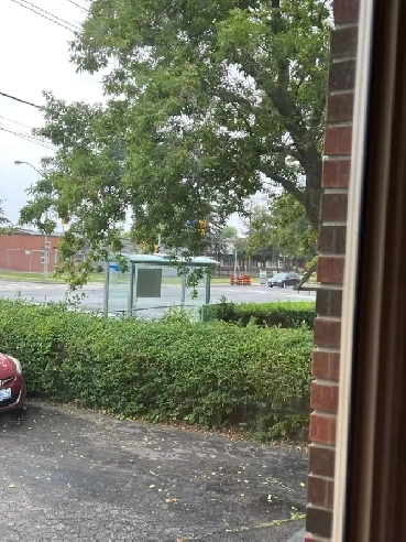 Basement apartment for rent in Scarborough near 401 Image# 1