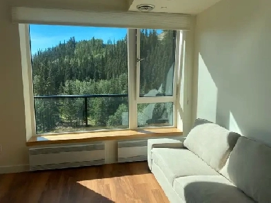 1 bedroom Penthouse DT condo Image# 1