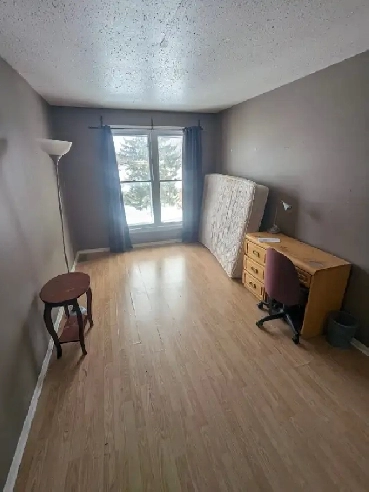 Move in today! Woodroffe/Majestic, 4 min to Algonquin Image# 1