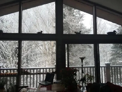 Recherche logement à long terme Image# 1