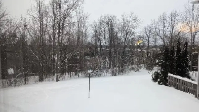 Renting Room in beautiful area Image# 1