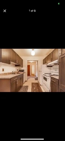 Room for rent in 1 bed room apartment Image# 1