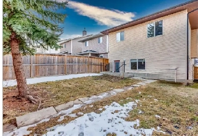 2 bedroom walkout basement for rent Image# 1