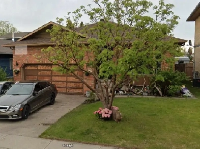 COZY 4 BEDROOM HOUSE - SHAWNESSY SW Image# 1