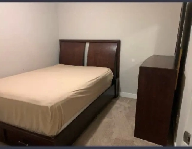 Basement- 5 Minutes Walk to C-Train Station