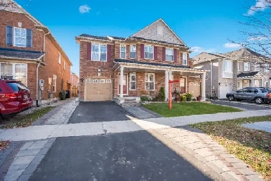 1 Bed Room Bsmt Apartment for Rent Near Morningside & Sheppard Image# 1